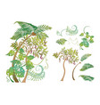 tropical plants flowers vector image
