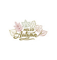 hello autumn label vector image