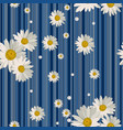 seamless pattern with beautiful white daisy vector image