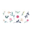 flowers and leaf botanical elements set floral vector image vector image
