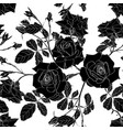 hand drawn line black roses flowers vector image