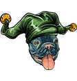 french bulldog portrait in a fools hat vector image vector image