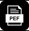 pef file document icon vector image vector image