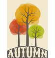 autumn colorful trees vector image vector image