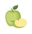 green apple whole fruit and slice vector image