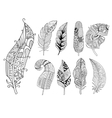 ornamental feathers in handdrawn style vector image vector image
