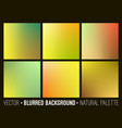 blurred abstract backgrounds set vector image