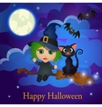 witch and cat flying on a broom under the moon vector image
