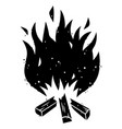 campfire 002 vector image vector image