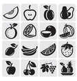 fruit set vector image