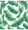 banana palm leaves seamless tropic pattern vector image
