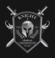knight shield and helmet vintage badge logo vector image