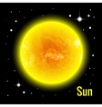 sun 3d high quality vector image vector image