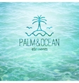 logo with palm seagulls island and waves vector image vector image