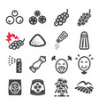 pepper icon vector image