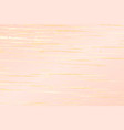 rose gold background for party invitation vector image