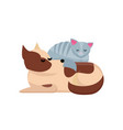 cozy pet friends concept grey cat sleaps on dog vector image vector image