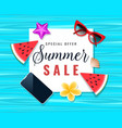summer sale background vector image vector image