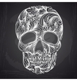 with hand drawn skull vector image