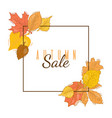 autumn sale square frame banner vector image