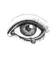 dotwork crying eye vector image vector image