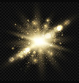 star burst with sparkles and bokeh golden light vector image vector image