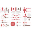 demography - people infographics vector image vector image
