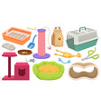 pet shop accessories pets care supplies and toys vector image vector image