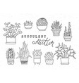 decorative potted succulents set of hand vector image vector image