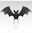 black bat vector image vector image