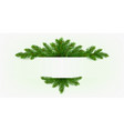 pine tree branch fir twigs with green needles vector image