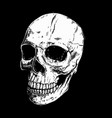 hand drawn human skull on dark background design vector image