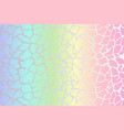 rainbow leopard background holographic foil vector image