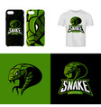 furious snake sport club isolated logo vector image