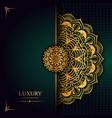 luxury ornamental mandala design background vector image vector image