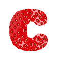 strawberry font letter c alphabetical character vector image vector image