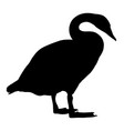 swan silhouette 001 vector image