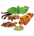 natural flavors and spices vector image vector image