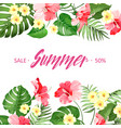 summer sale card vector image