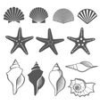 sea shells and starfish set vector image vector image