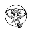 elephant mandala vector image