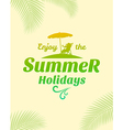 summer holidays poster typography design vector image