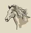 horse head with a mane hand drawn vector image