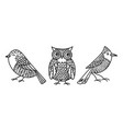 set with birds in doodle style vector image
