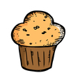 cupcake muffin vector image vector image