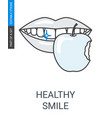 teethhealthdurability vector image