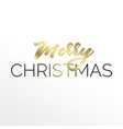 gold lettering merry christmas vector image