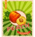 peach retro poster vector image