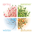 4 seasons in 1 tree vector image vector image