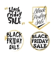 black friday sale vector image